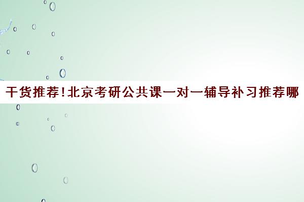 干货推荐!北京考研公共课一对一辅导补习推荐哪一家〔排名一览〕