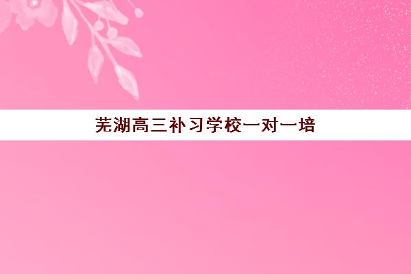 芜湖高三补习学校一对一培训班哪个好一点？2025年权威排名、择校技巧与成功案例全解析