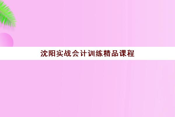 沈阳实战会计训练精品课程培训学校排名一览表最新如何查询？2025年权威榜单、课程特色与择校全攻略
