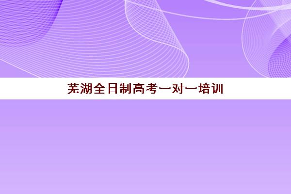 芜湖全日制高考一对一培训机构有哪些地方？2025年最新校区分布与择校全攻略