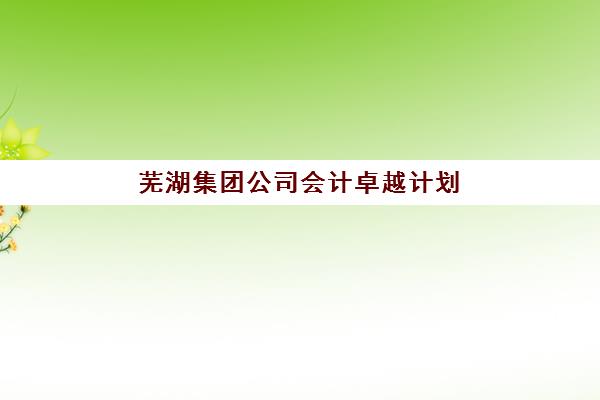 芜湖集团公司会计卓越计划培训机构费用多少？2025年最新价格明细解析、机构选择指南与省钱策略全攻略