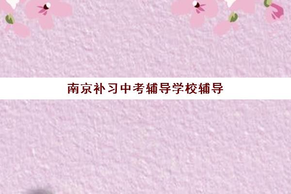 南京补习中考辅导学校辅导培训机构哪家好一点？2025年最新排名与科学择校全攻略指南