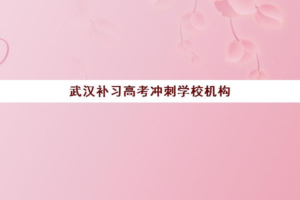 武汉补习高考冲刺学校机构发展指数TOP5如何科学评估？2025年权威发展指数解析、择校技巧与成功案例深度指南