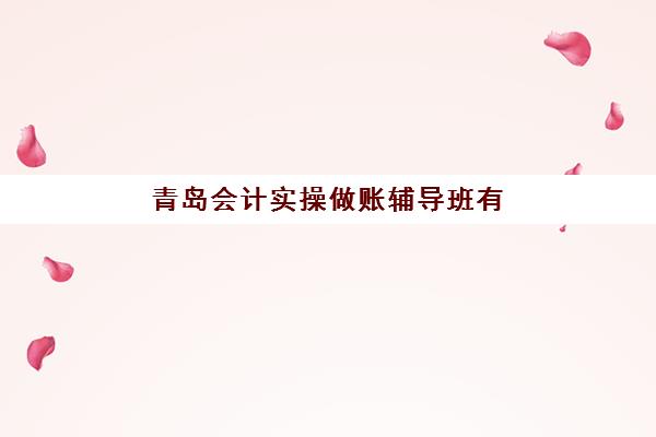 青岛会计实操做账辅导班有哪些地方招生？2025年最新招生地点分布、顶尖机构特色与报名全指南
