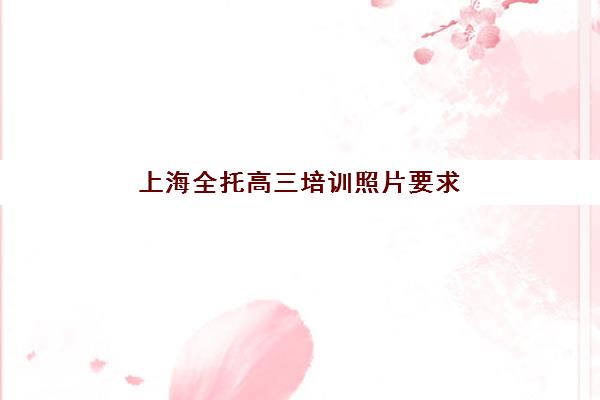 上海全托高三培训照片要求是什么样的？2025年最新证件照规格、拍摄技巧与常见问题全解析
