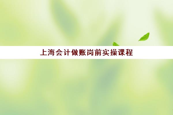 上海会计做账岗前实操课程辅导学校有哪些：2025年最新排名前十名单与选择指南全解析