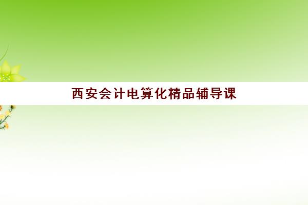 西安会计电算化精品辅导课程如何选择？2025年顶尖机构特色对比与择校全攻略