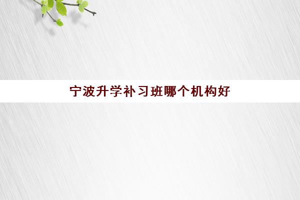 宁波升学补习班哪个机构好一点啊？2025年最新权威排名、各机构特色对比与科学择校全攻略