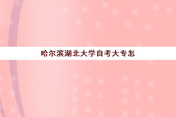 哈尔滨湖北大学自考大专怎么选？2025年教研能力TOP5机构深度评测与择校指南