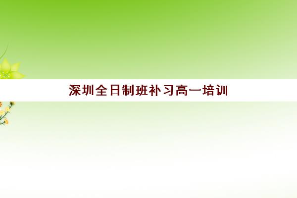 深圳全日制班补习高一培训机构哪个好一点？2025年最新排名与择校指南