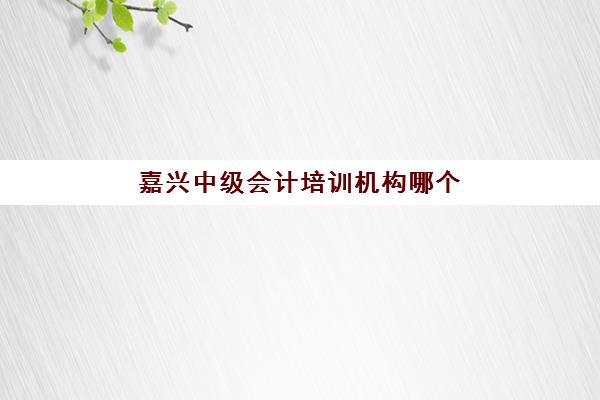 嘉兴中级会计培训机构哪个好一点如何判断？2025年最新权威排名深度解析、多维度对比与科学择校全攻略