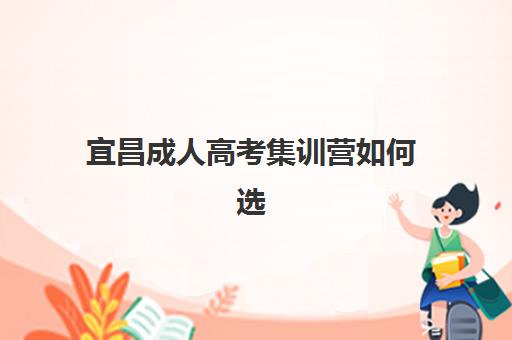 宜昌成人高考集训营如何选？2025年五大机构特色解析与择校指南