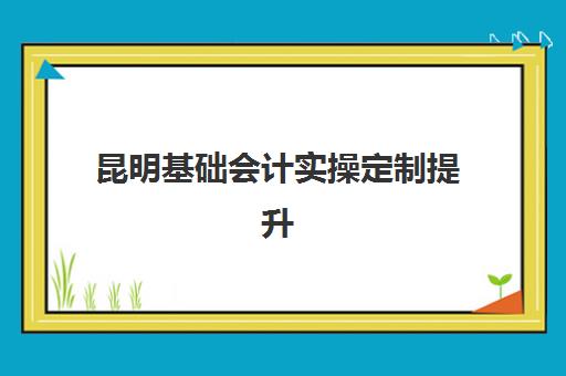 昆明基础会计实操定制提升课程培训机构哪家强一点？2025年最新权威排名、课程特色与选择全指南