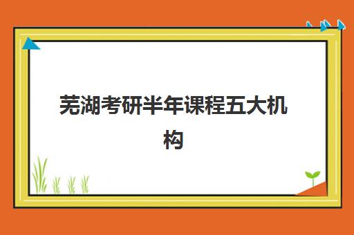 芜湖考研半年课程五大机构服务能力分析如何参考？2025年最新服务对比、择校指南与成功策略