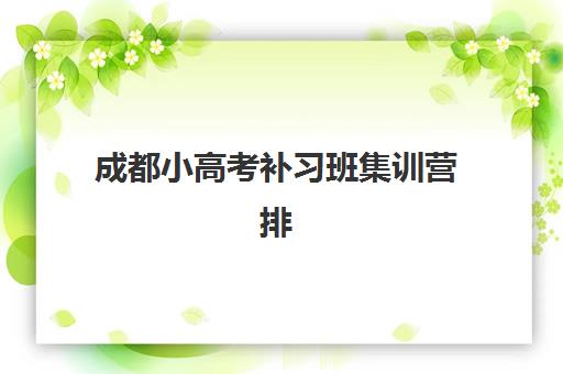成都小高考补习班集训营排名前十名学校如何选择？2025年权威榜单与科学择校全指南