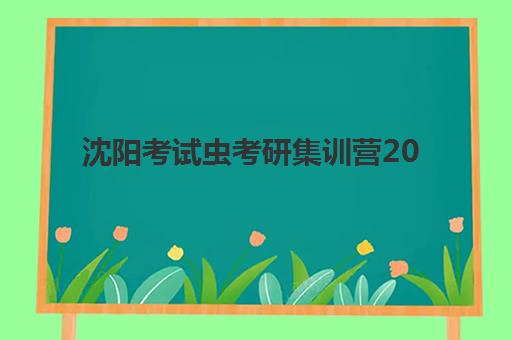 沈阳考试虫考研集训营2025年课程如何安排？全年培训时间表与报名指南全解析