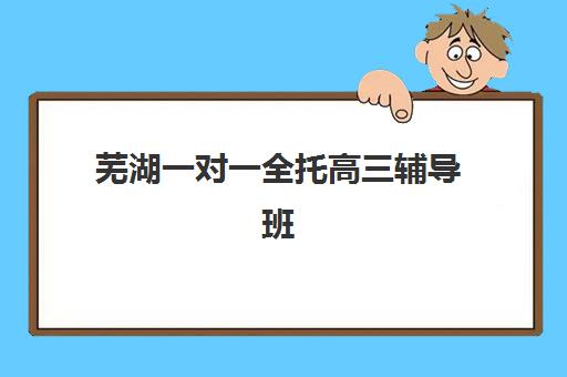 芜湖一对一全托高三辅导班如何选？对比价格与教学服务找到适合的