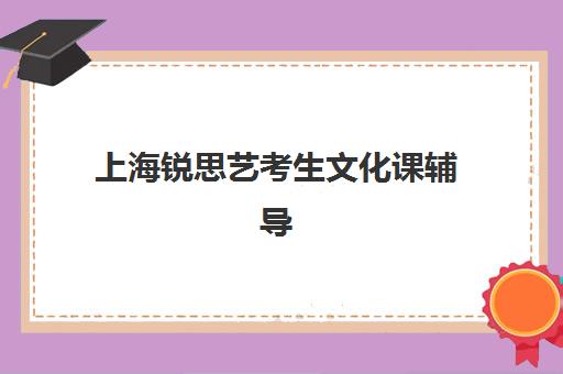 上海锐思艺考生文化课辅导补习机构收费价目表如何查询？2025年收费标准全面解析与择校性价比深度评估指南