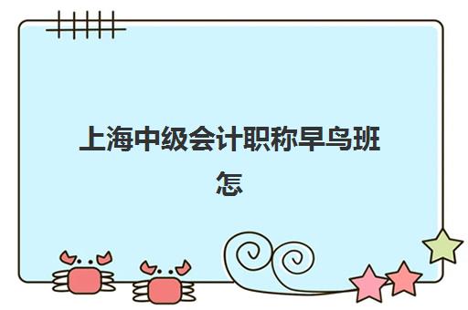 上海中级会计职称早鸟班怎么选？2026年培训机构费用对比与备考全攻略
